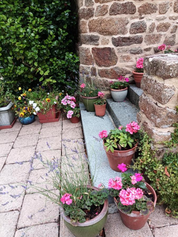 Villa La Cote Du Chat 3* En Bretagne Romantique Hédé Dış mekan fotoğraf